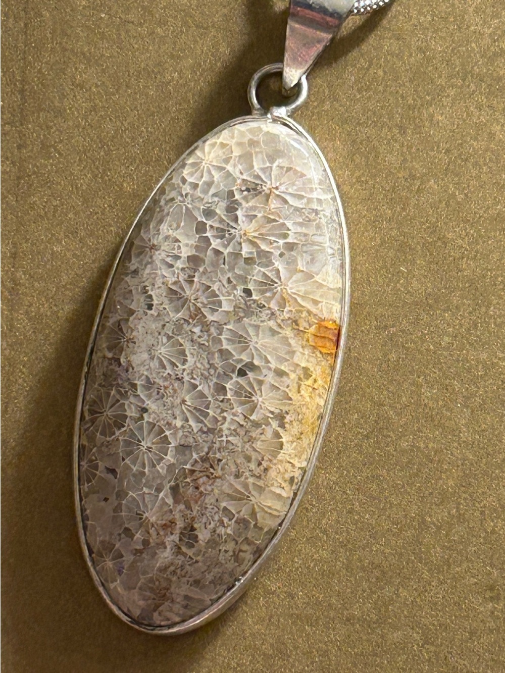 NWOT Necklace Fossil Coral cream gray .925 silverplate loop bezel/snake chain 18